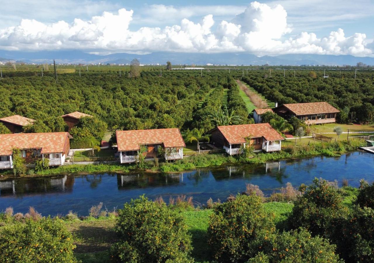 Hostal Turkuazkoey Finike Exterior foto